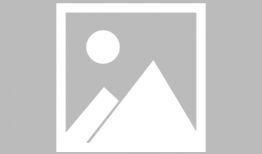 卤麻豆,传统美食的现代化演绎