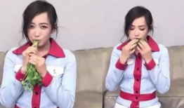 香菜直播回放91,91精彩瞬间回顾